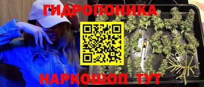 a pvp Ачхой-Мартан