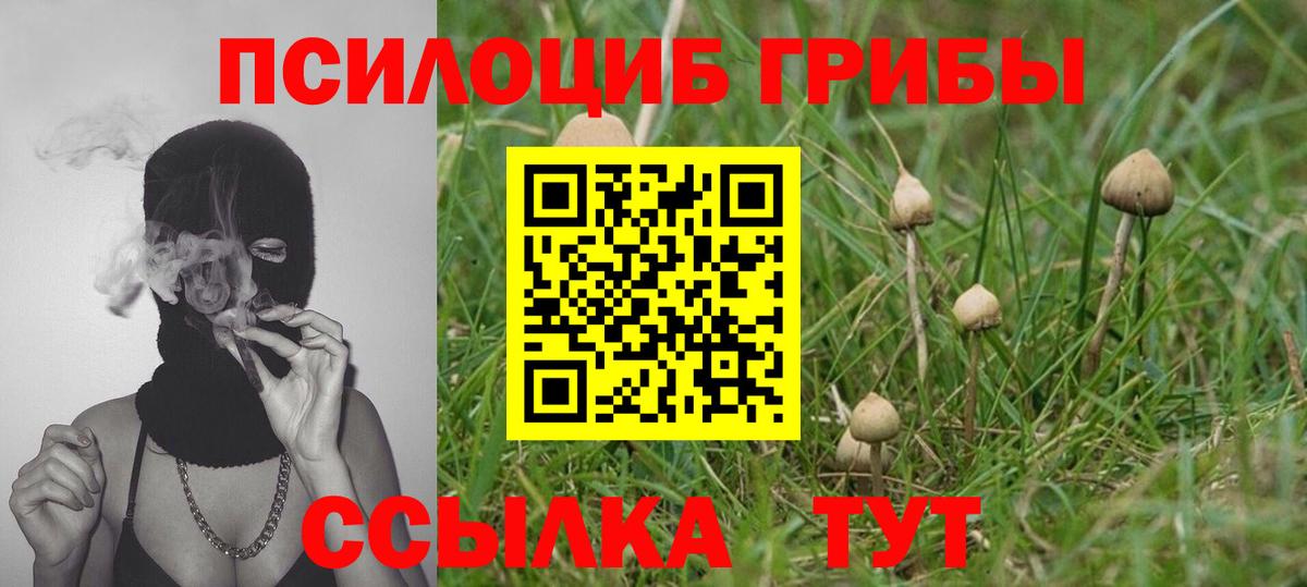 что такое наркотик  Псилоцибиновые грибы прущие грибы  Вход с VPN  Жигулёвск 